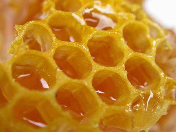 Как употреблять мёд в сотах